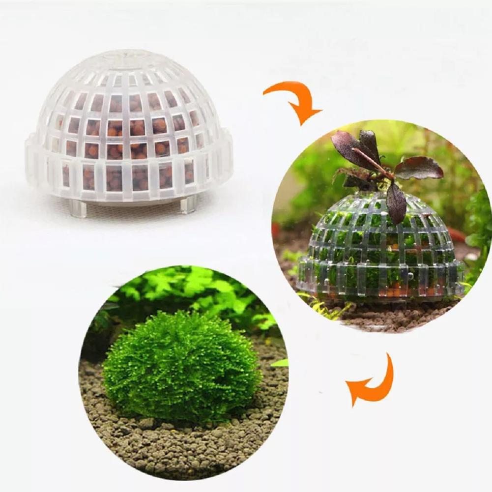 Planted Aquarium Models - 1개 수족관 이끼볼 홀더 어항 DIY