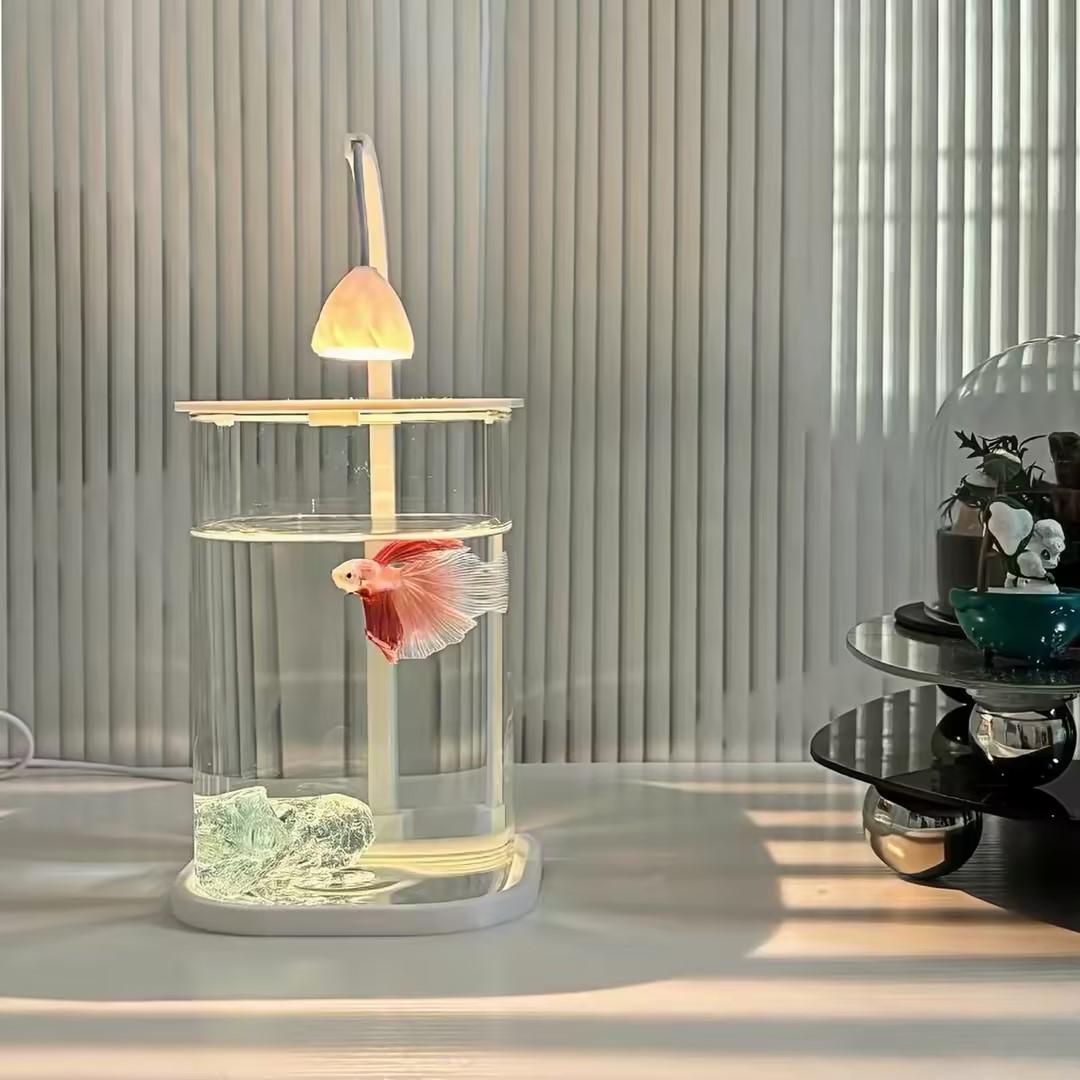 Planted Aquarium Betta - 360 ° 파노라마 투명 데스크탑 어항