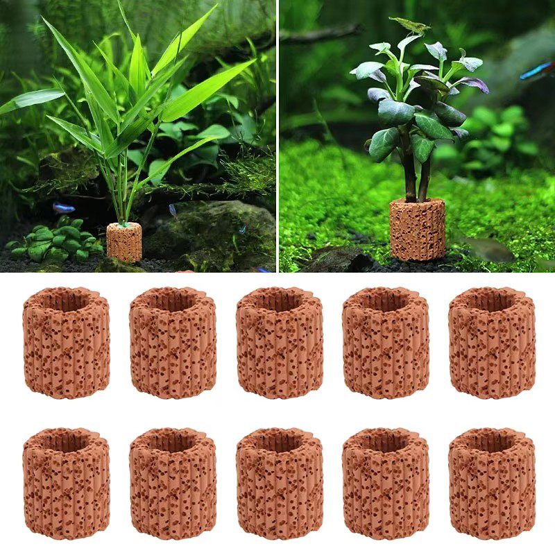 Aquarium Plant Utensils - 수족관 풍경을위한 수생 식물 고정 링