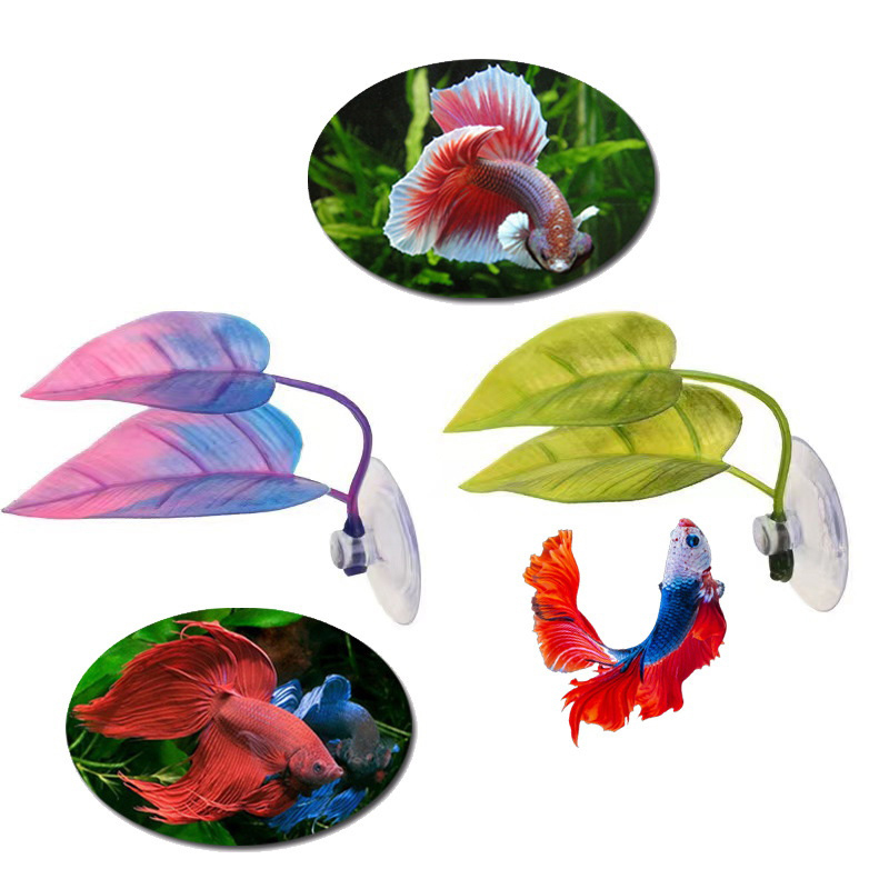 Planted Aquarium Betta - 인공 수생 식물 어항 장식 베타