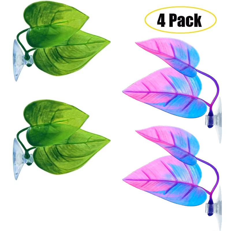Planted Aquarium Betta - 베타 물고기 잎 해먹은 베타 산란