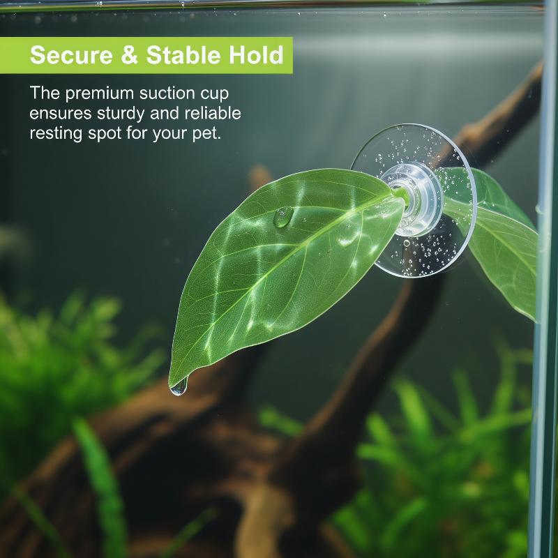 Planted Aquarium Betta - 수족관 용품 어항 베타 잎사귀 물고기