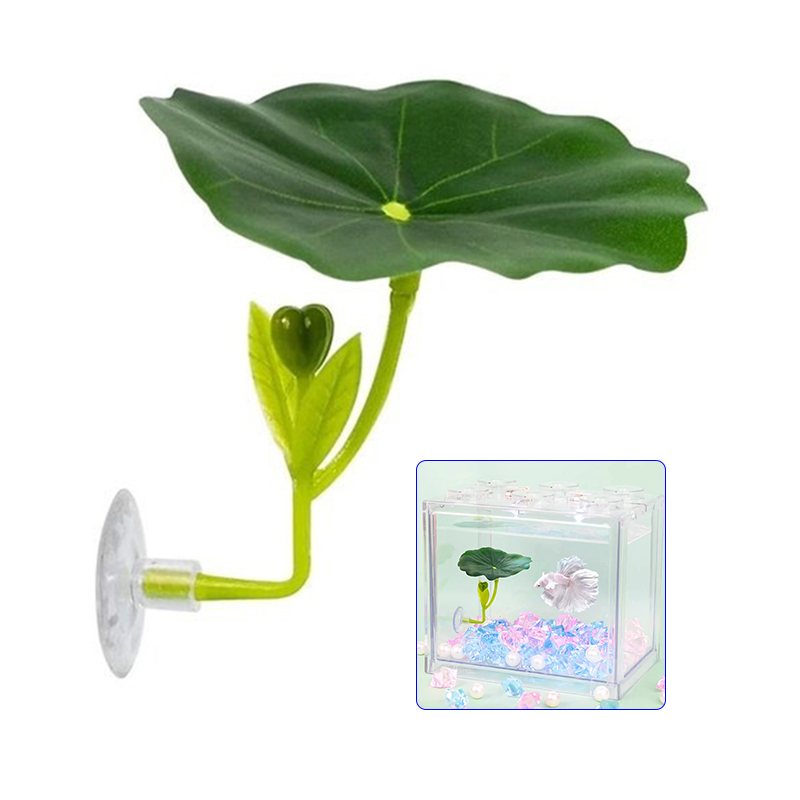Planted Aquarium Betta - 베타 물고기를 위한 녹색 잎 모양