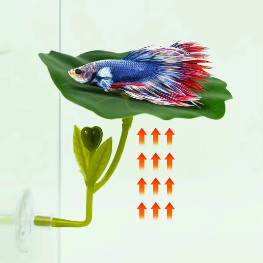 Planted Aquarium Betta - 1개입 녹색 잎사귀 베타 물고기 해먹