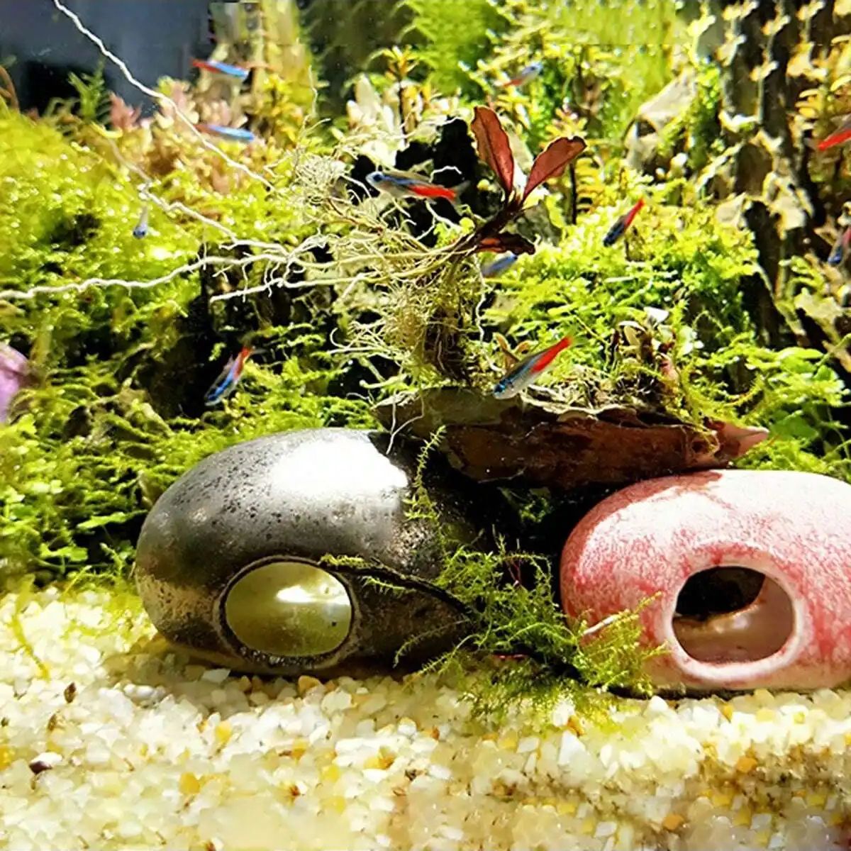 1pc-250g 천연 크리스탈 자갈 돌 마이크로 조경  - Aquarium Planted Sand 리뷰 및 가격