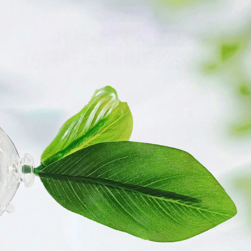 베타 물고기를 위한 녹색 잎 모양 해먹 1개, 스트레스 - Planted Aquarium Betta 리뷰 및 가격