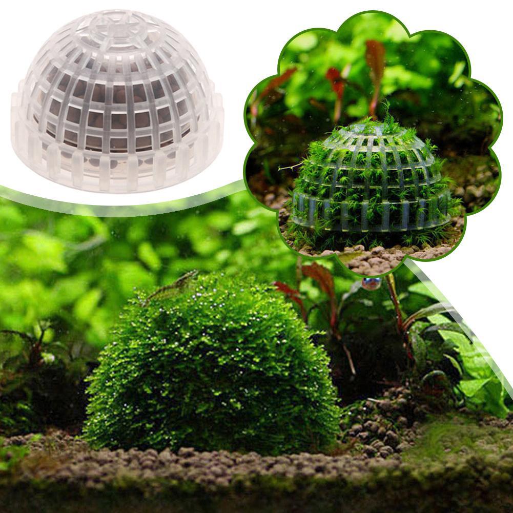 1개 수족관 이끼볼 홀더 어항 DIY 이끼볼 모양 형성 - Planted Aquarium Models 리뷰 및 가격