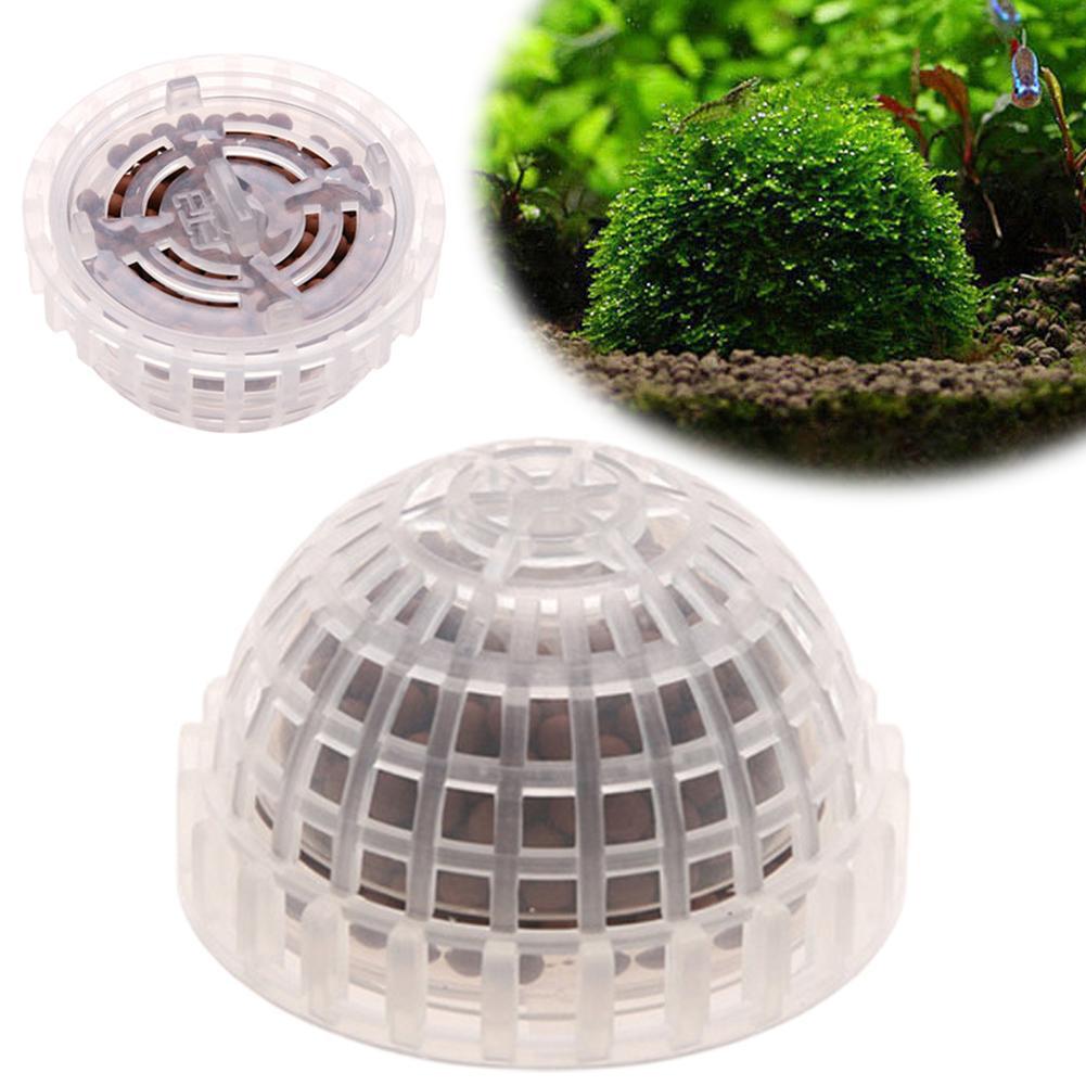 1개 수족관 이끼볼 홀더 어항 DIY 이끼볼 모양 형성 - Planted Aquarium Models 리뷰 및 가격