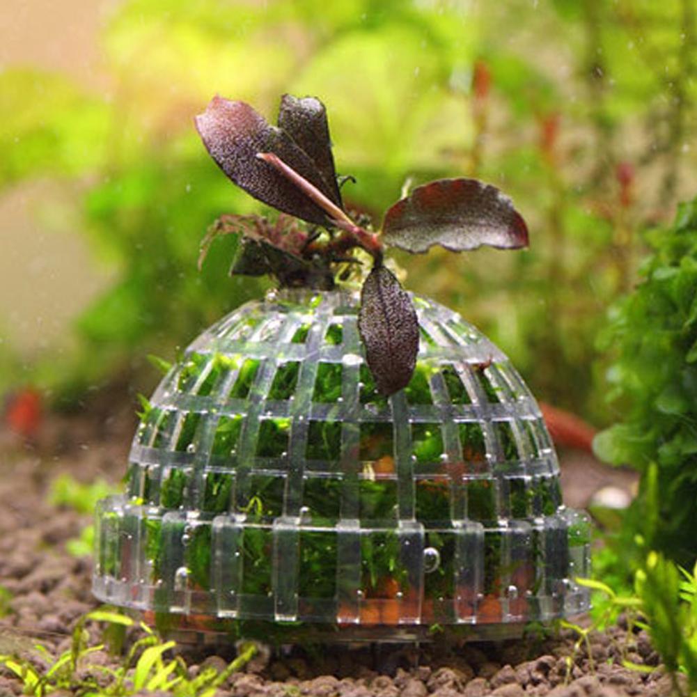 1개 수족관 이끼볼 홀더 어항 DIY 이끼볼 모양 형성 - Planted Aquarium Models 리뷰 및 가격
