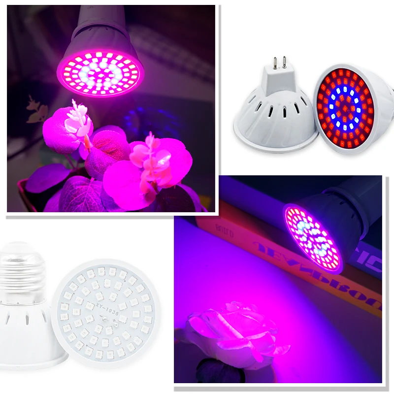 식물 램프 전체 스펙트럼 LED 성장 빛 AC220V  - Led Planted Tank Light 리뷰 및 가격