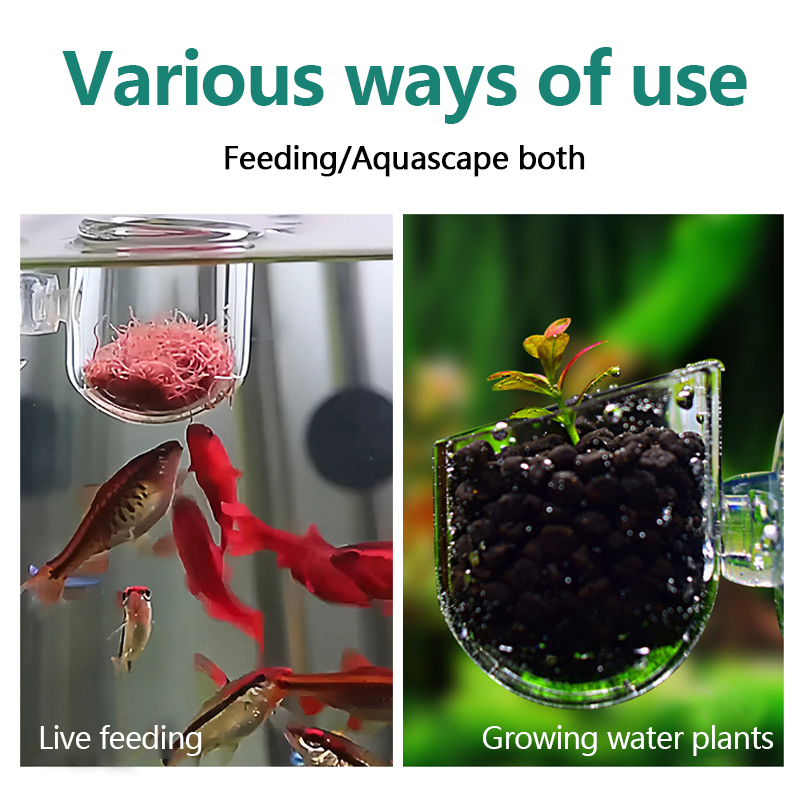 수족관 장식용 식물 컵 화분 아크릴 수생 식물 컵 흡착 - Aquarium Plant Utensils 리뷰 및 가격