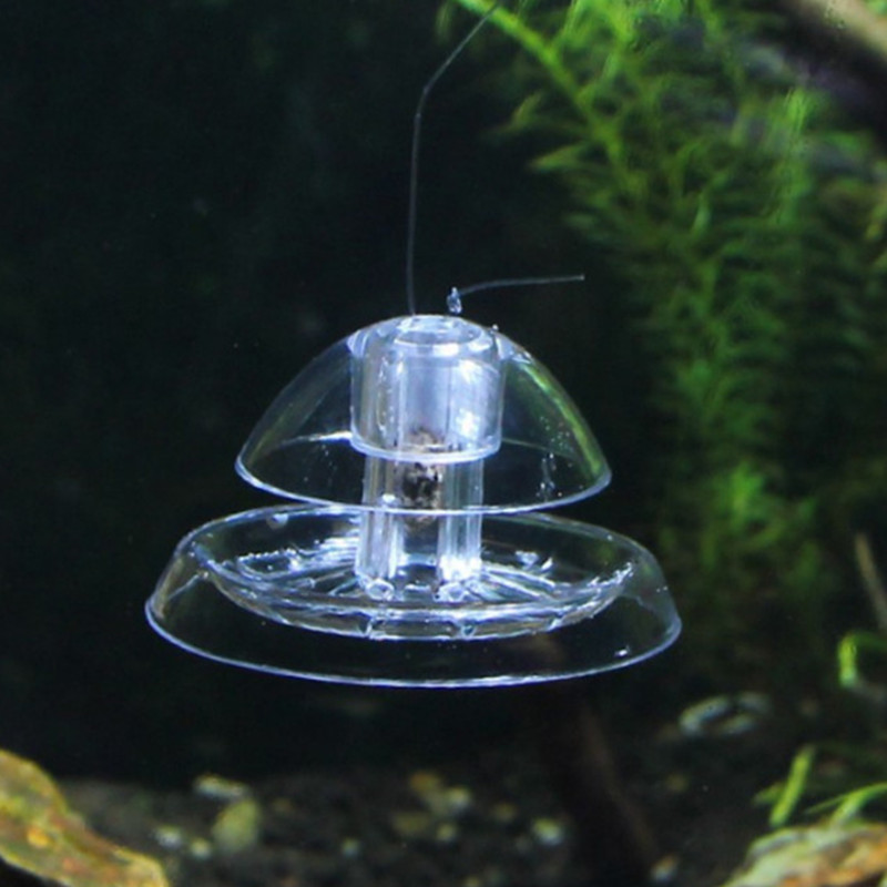 물고기 탱크 수족관 클리너, 달팽이 트랩 캐처, 식물  - Aquarium Plant Utensils 리뷰 및 가격