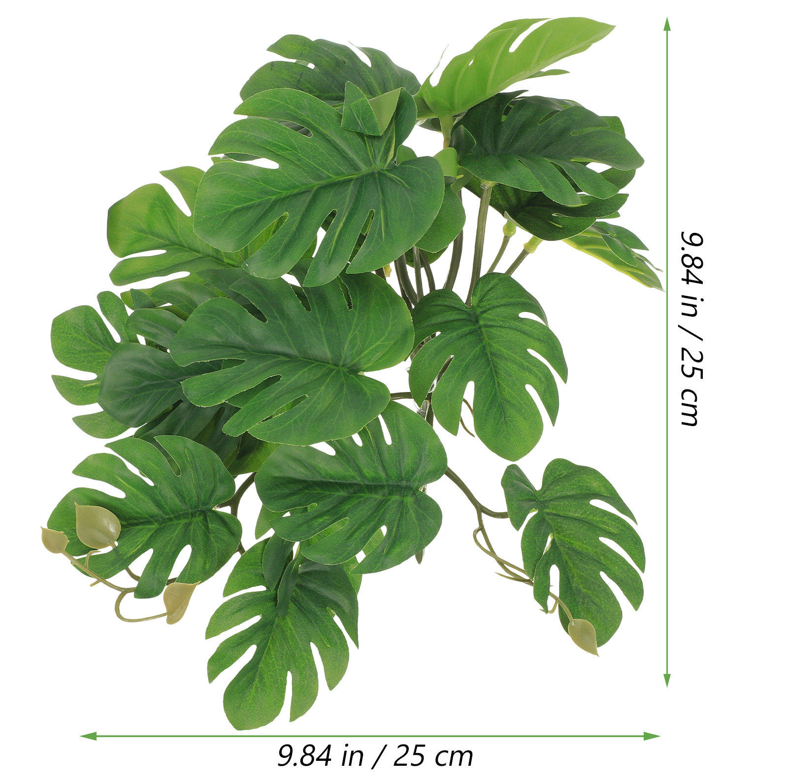 안전하고 무독성인 파충류 사육장, 도마뱀 상자, 수족관 - Non Planted Aquarium Fish 리뷰 및 가격