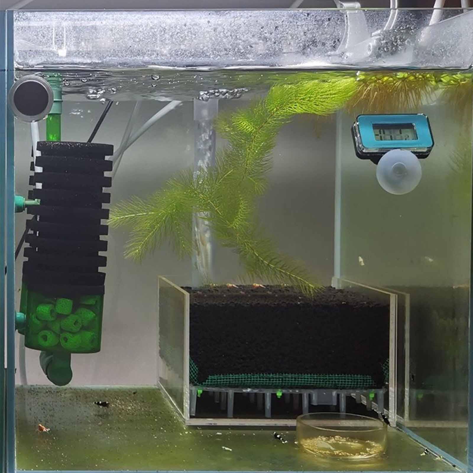 아크릴 새우 어항 필터, 자갈 아래 설치형 사각 투명  - Planted Aquarium With Gravel 리뷰 및 가격