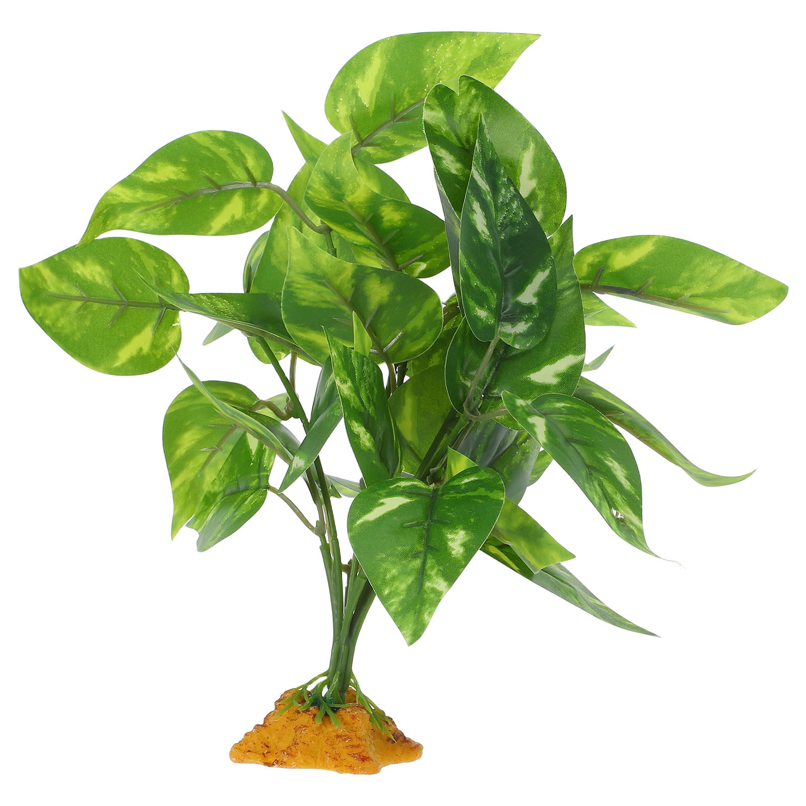 안전하고 무독성인 사실적인 인조 식물 (테라리움, 수족 - Non Planted Aquarium Fish 리뷰 및 가격