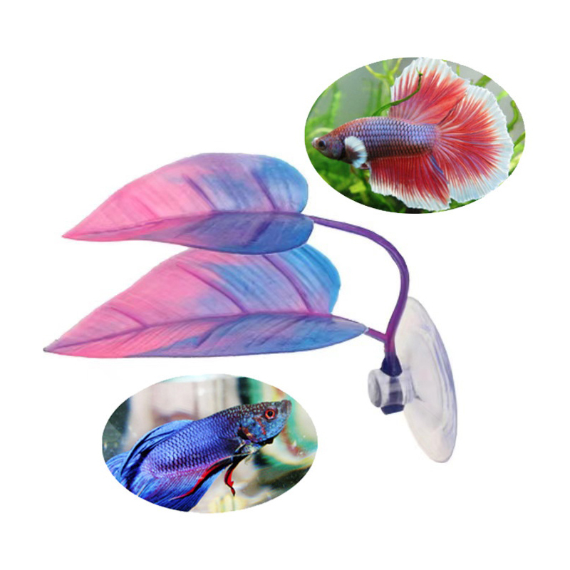 인공 수생 식물 어항 장식 베타 물고기 휴식 및 낳는  - Planted Aquarium Betta 리뷰 및 가격