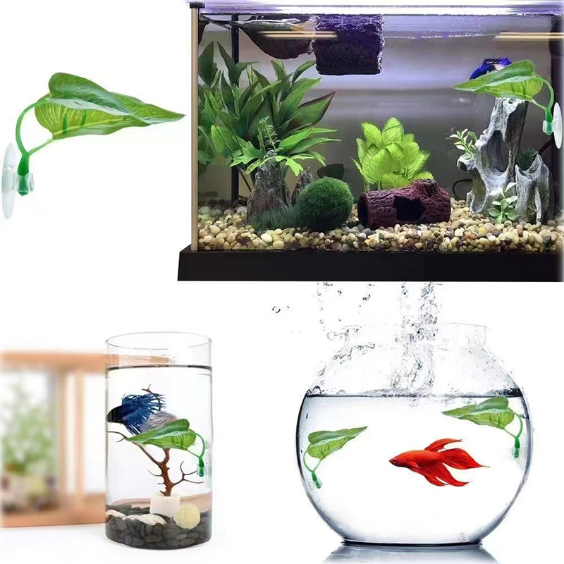 인공 수생 식물 어항 장식 베타 물고기 휴식 및 낳는  - Planted Aquarium Betta 리뷰 및 가격