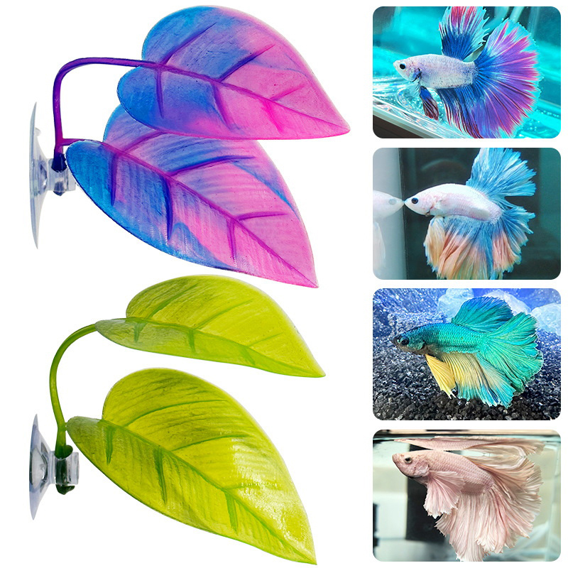 인공 수생 식물 어항 장식 베타 물고기 휴식 및 낳는  - Planted Aquarium Betta 리뷰 및 가격