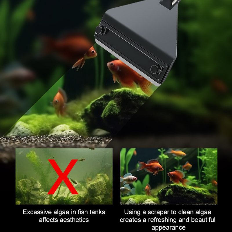 수족관 조류 제거제 알루미늄 합금 스테인레스 스틸 스크 - Aquarium Plant Utensils 리뷰 및 가격