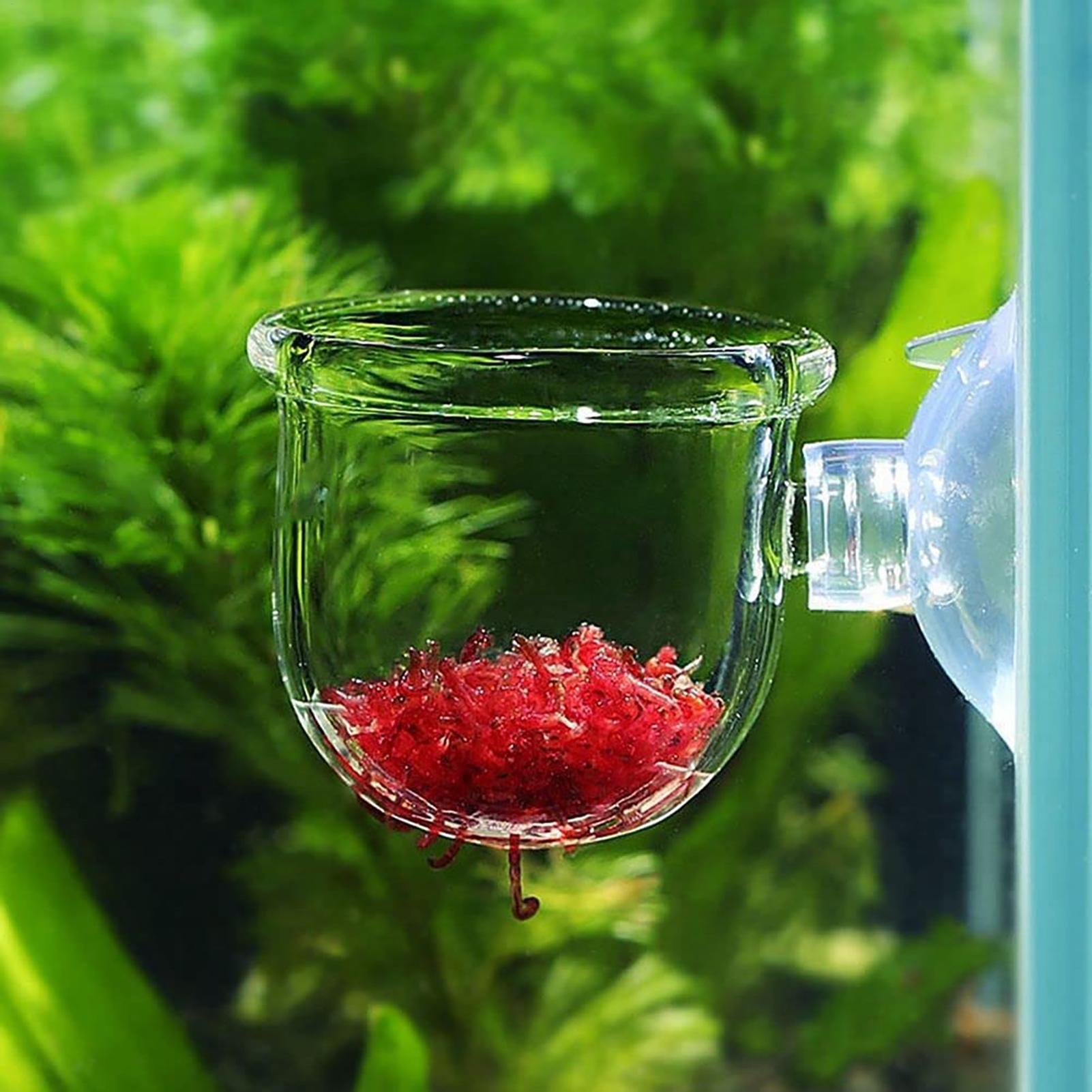 아크릴 수족관 장식용 식물 컵 화분, 강력한 흡착 홀더 - Aquarium Plant Utensils 리뷰 및 가격