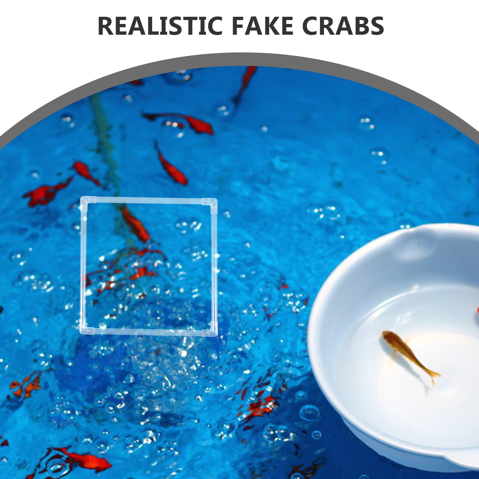 1세트 수족관 부유식물 링, 어항용 오리풀 분리 홀더, - Planted Aquarium Materials 리뷰 및 가격