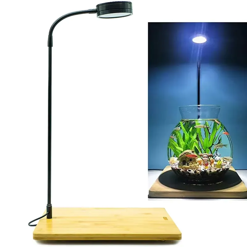 수족관 나노 탱크 베타 물고기 탱크 화분 식물 다육 식 - Planted Aquarium Betta 리뷰 및 가격