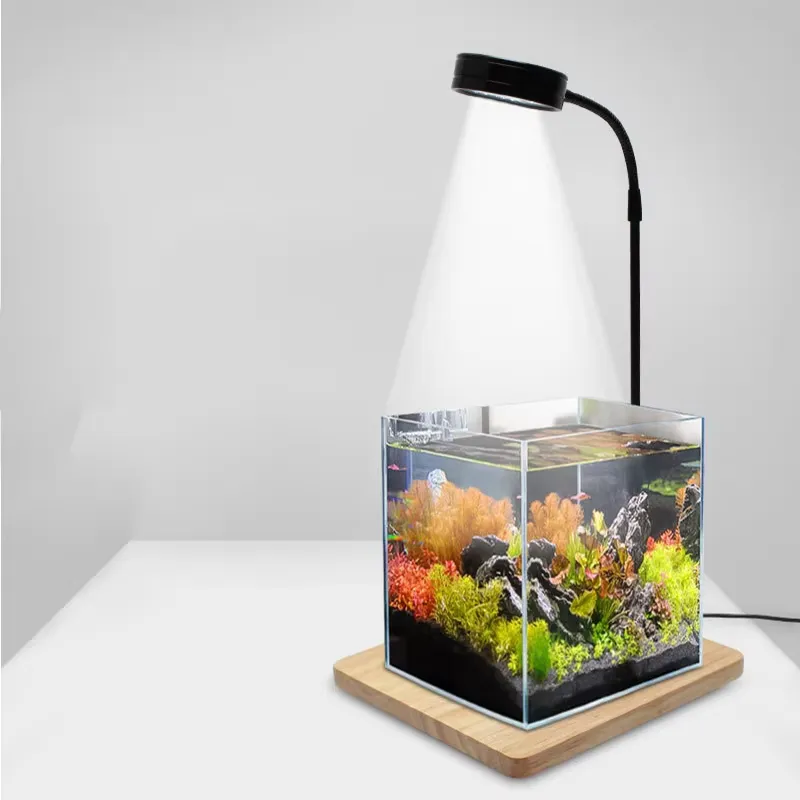 수족관 나노 탱크 베타 물고기 탱크 화분 식물 다육 식 - Planted Aquarium Betta 리뷰 및 가격
