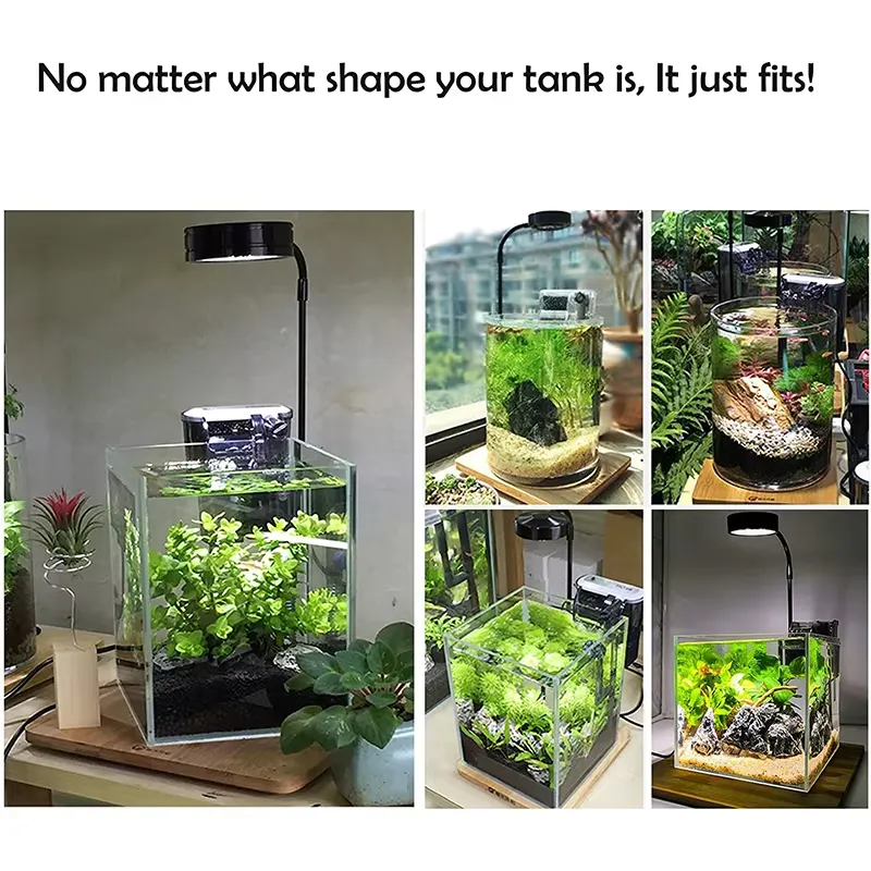 수족관 나노 탱크 베타 물고기 탱크 화분 식물 다육 식 - Planted Aquarium Betta 리뷰 및 가격