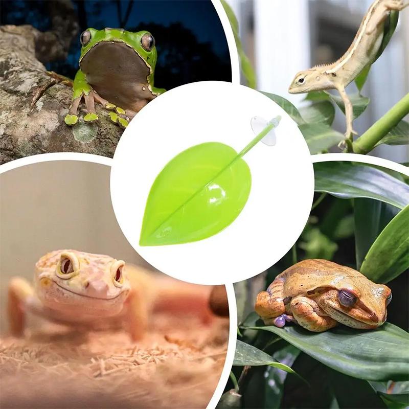 수족관 액세서리 어항 베타 잎사귀 물고기 침대 물고기  - Planted Aquarium Betta 리뷰 및 가격