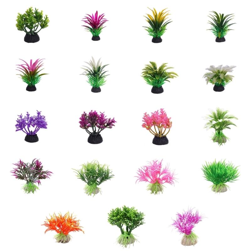 G6KF Fishtanks 수생 식물 장식, Aquas - Planted Aquarium Models 리뷰 및 가격