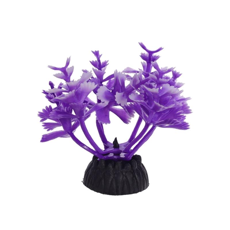 G6KF Fishtanks 수생 식물 장식, Aquas - Planted Aquarium Models 리뷰 및 가격