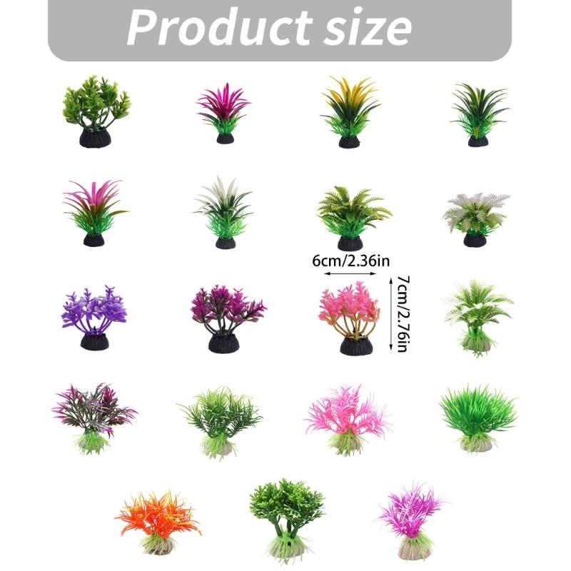 G6KF Fishtanks 수생 식물 장식, Aquas - Planted Aquarium Models 리뷰 및 가격