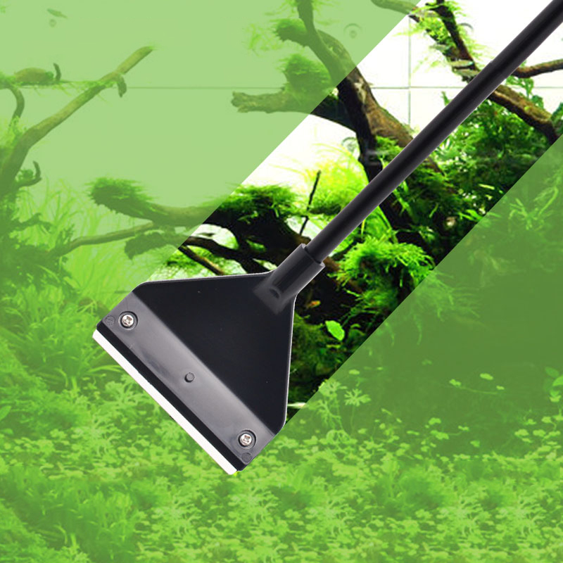 수족관 조류 제거제 알루미늄 합금 스테인레스 스틸 스크 - Aquarium Plant Utensils 리뷰 및 가격