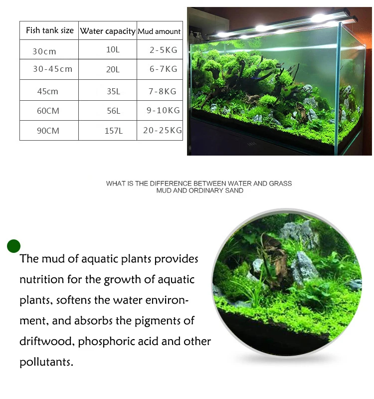 어항 물 잔디 진흙 식물 씨앗, 수족관 토양 바닥 모래 - Aquarium Planted Sand 리뷰 및 가격