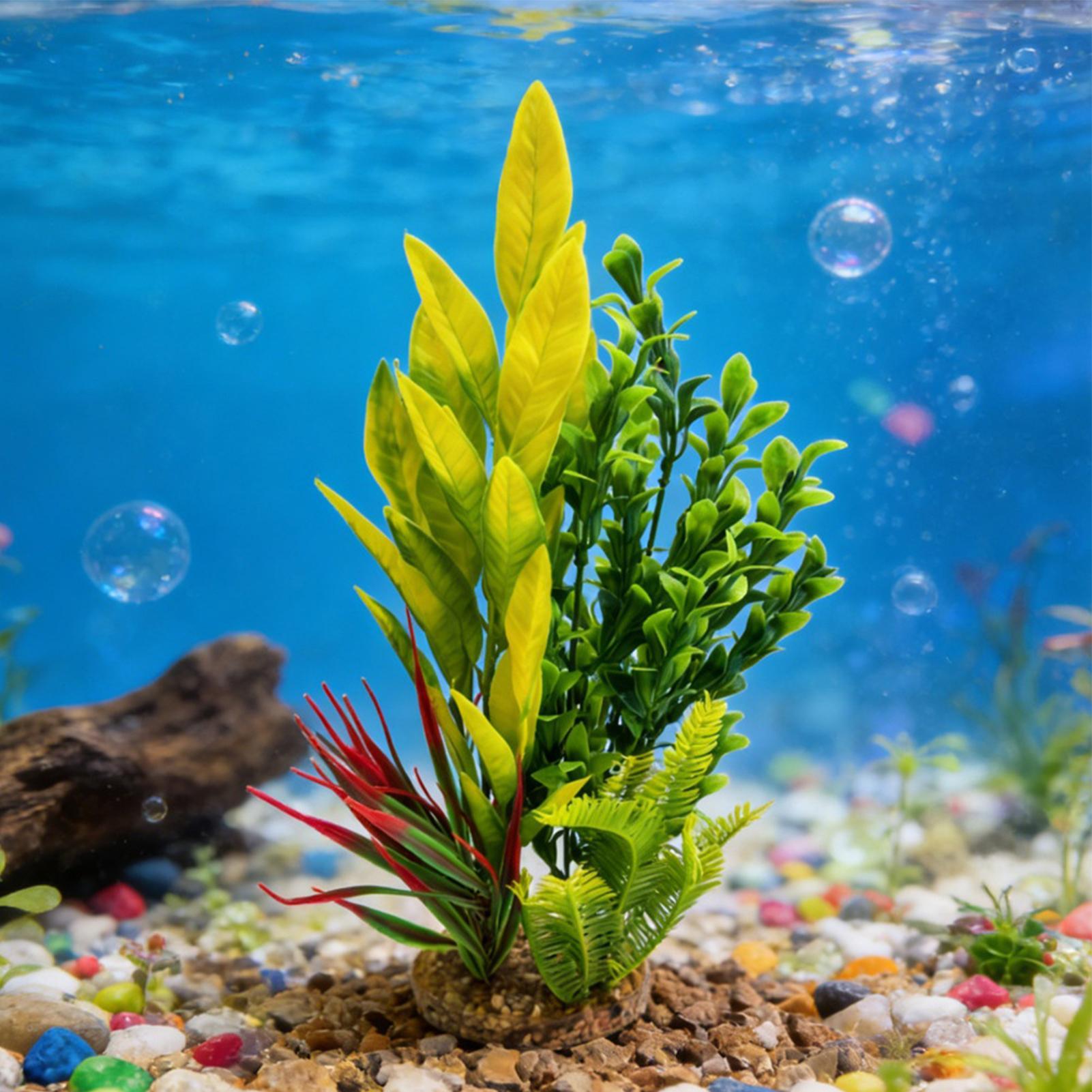 수족관 식물 인조 새우 탱크 장식 베타 탱크 장식품 사 - Planted Aquarium Betta 리뷰 및 가격