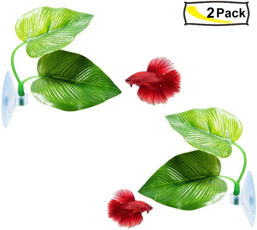 베타 물고기 잎 해먹은 베타 산란 사육 휴식 침대 수족 - Planted Aquarium Betta 리뷰 및 가격