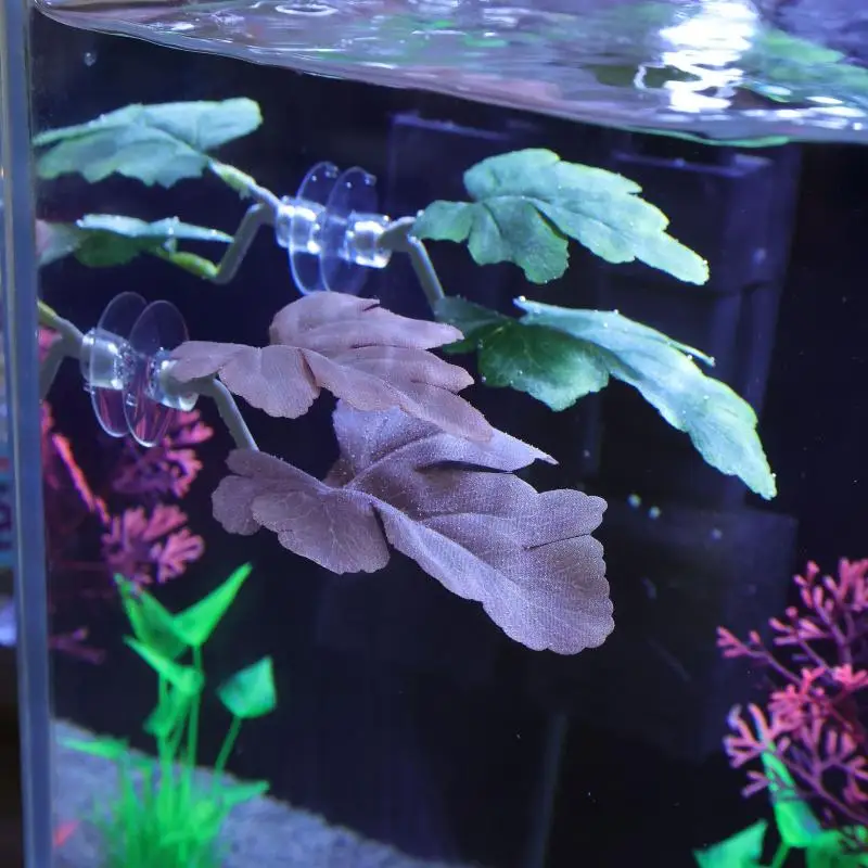 베타 물고기 잎 모양 해먹 수족관 장식 식물 침대 휴식 - Planted Aquarium Betta 리뷰 및 가격