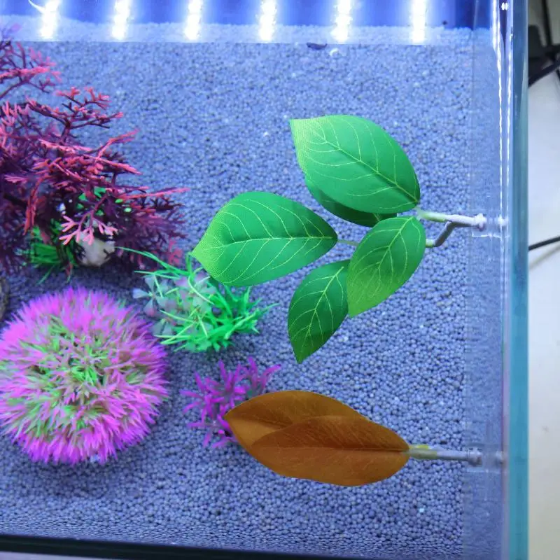 베타 물고기 잎 모양 해먹 수족관 장식 식물 침대 휴식 - Planted Aquarium Betta 리뷰 및 가격