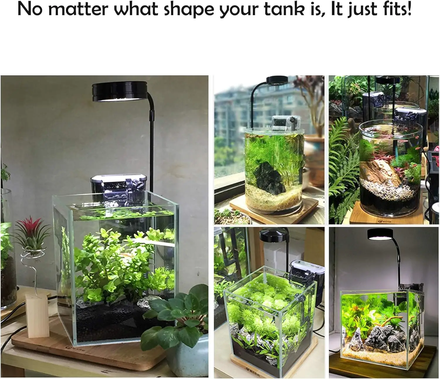 LED 수족관은 대나무 보드로 빛을 성장시킵니다. 수족 - Planted Aquarium Betta 리뷰 및 가격