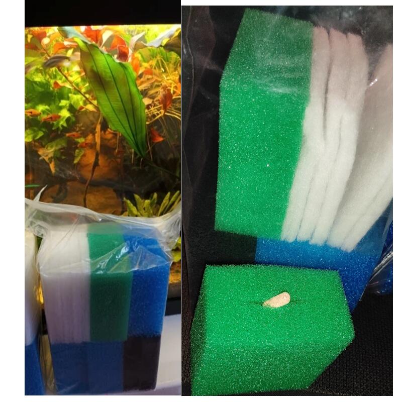 60개입 호환 폴리 패드 제거 스펀지 수족관 필터 스펀 - Aquarium Planted Filter 리뷰 및 가격