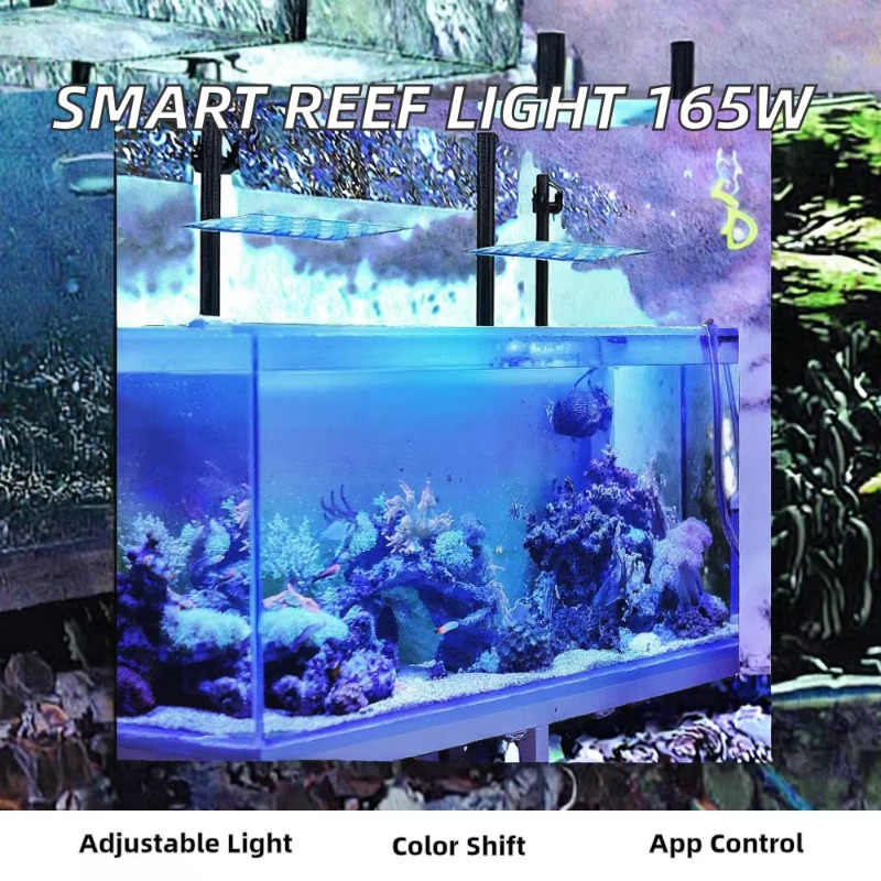 165W 디밍 가능 WiFi 앱 제어 수족관 LED 조 - Planted Aquarium Models 리뷰 및 가격