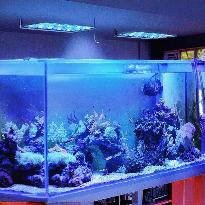 165W 디밍 가능 WiFi 앱 제어 수족관 LED 조 - Planted Aquarium Models 리뷰 및 가격