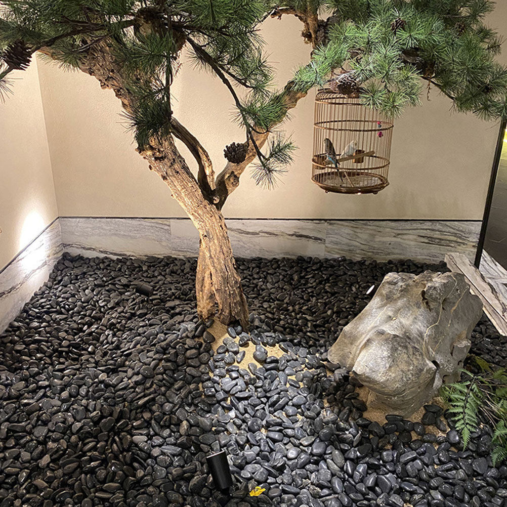 1세트 수족관 자갈 자연 조경석 검정 화분 장식용 자갈 - Planted Aquarium With Gravel 리뷰 및 가격