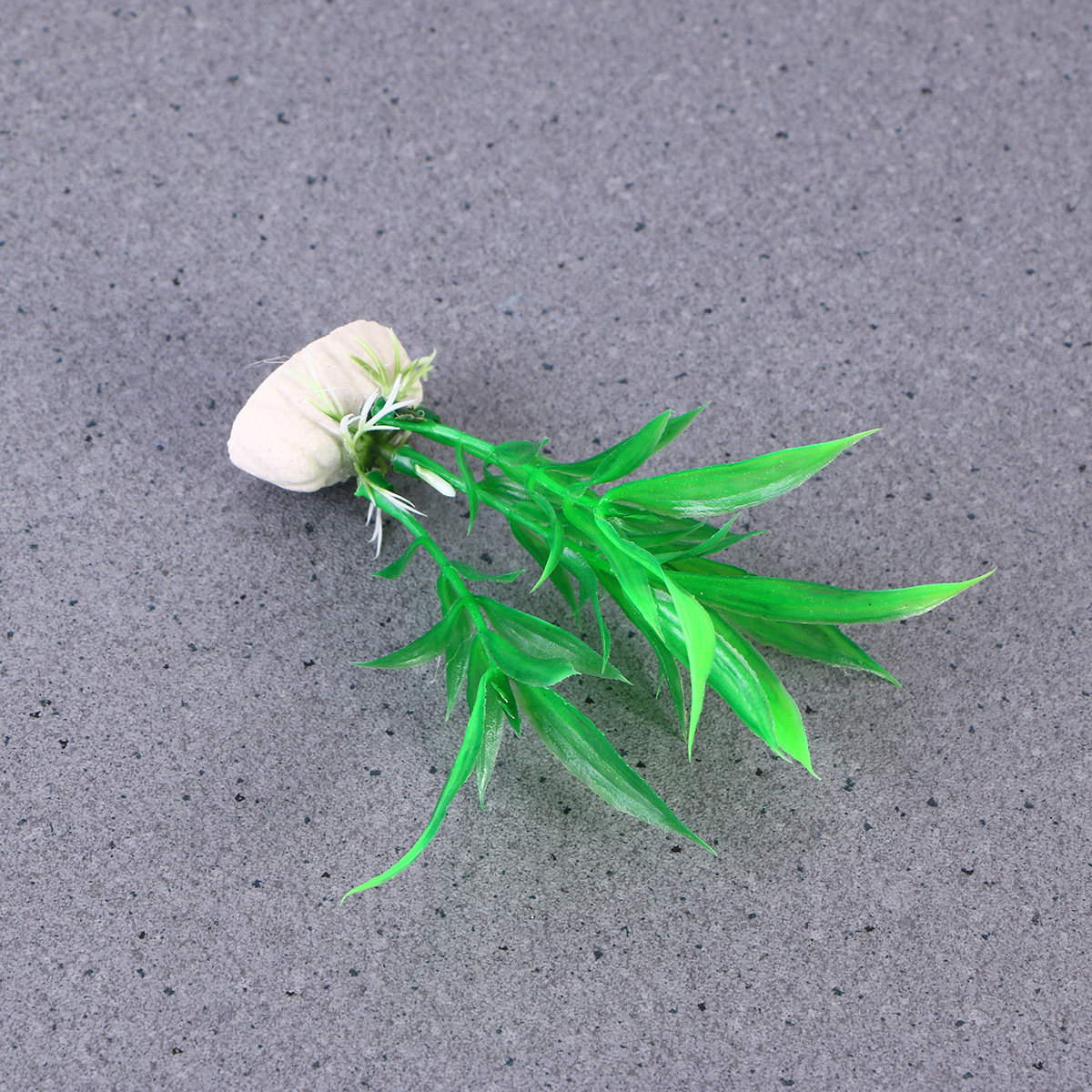 10Pcs 현실적인 Dracaena Sanderiana - Non Planted Aquarium Fish 리뷰 및 가격