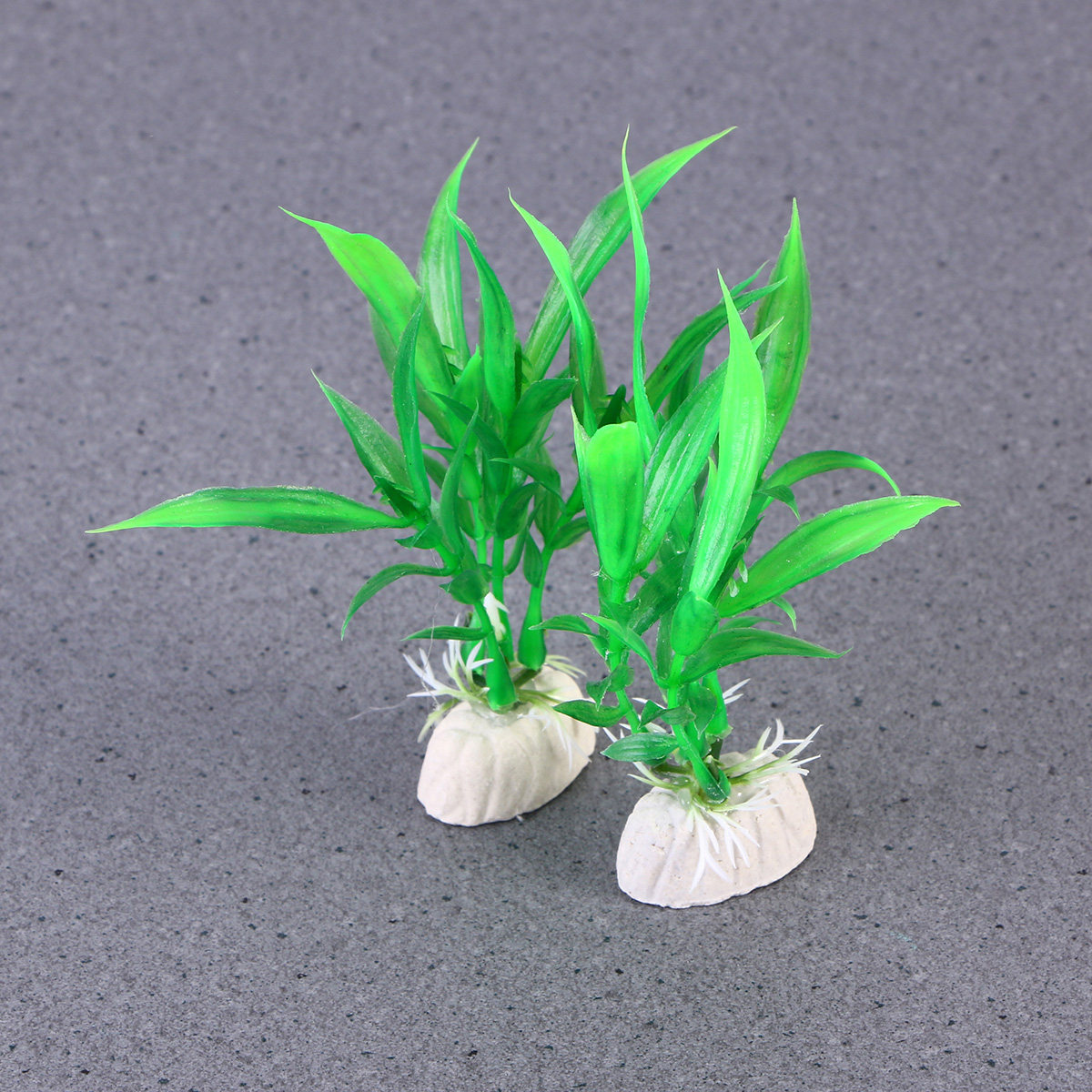 10Pcs 현실적인 Dracaena Sanderiana - Non Planted Aquarium Fish 리뷰 및 가격