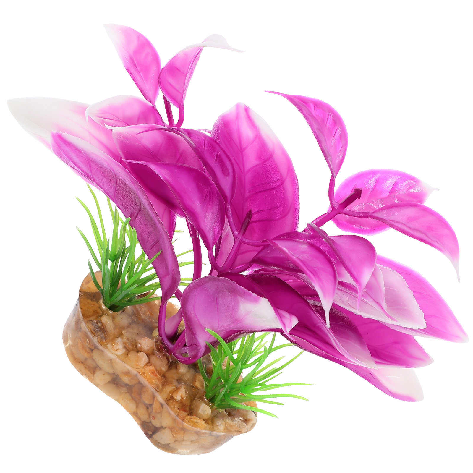 실물 같은 가짜 수족관 식물, 어항용 플라스틱 수생 식 - Planted Aquarium Materials 리뷰 및 가격