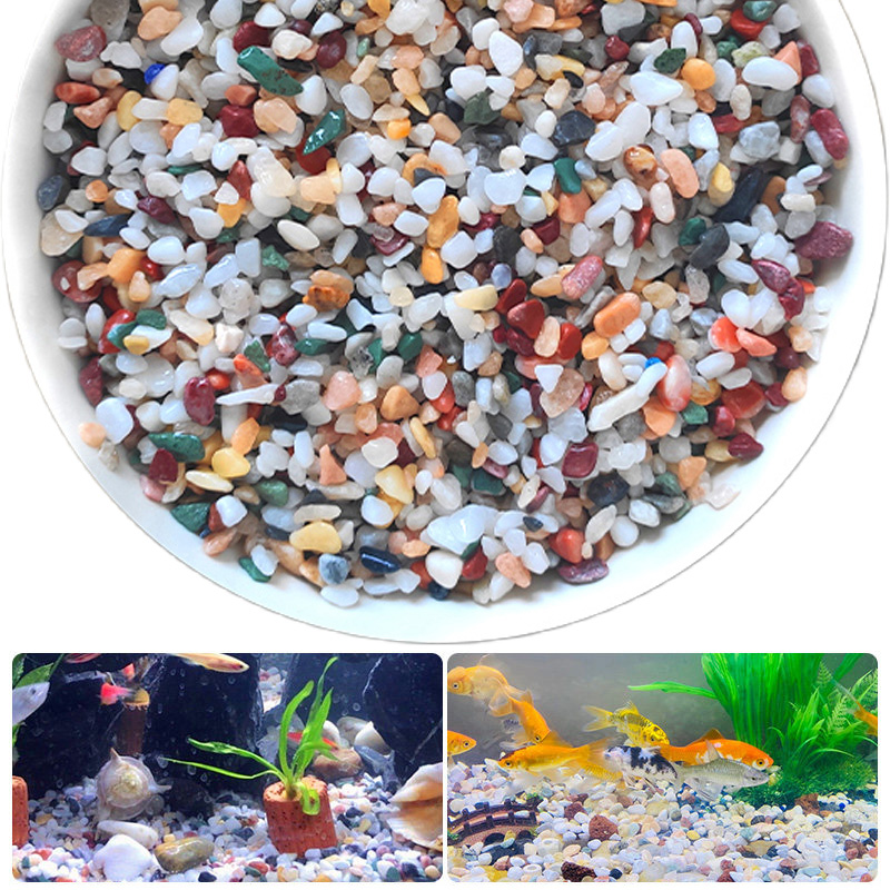 천연 자갈석 200~1000g 마이크로 조경 정원 수족 - Aquarium Planted Sand 리뷰 및 가격