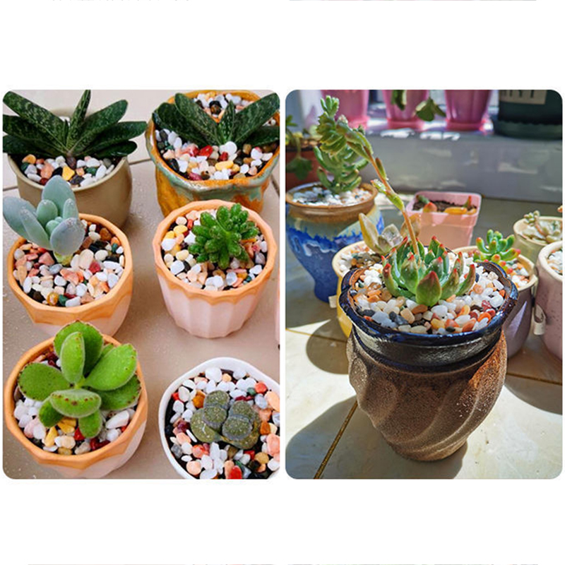 천연 자갈석 200~1000g 마이크로 조경 정원 수족 - Aquarium Planted Sand 리뷰 및 가격