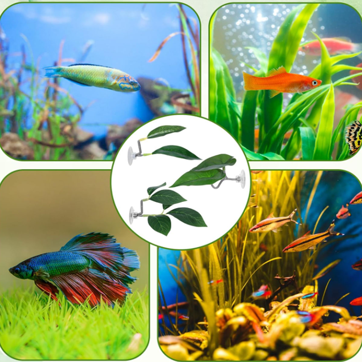 1 PC 베타 물고기 해먹 부드러운 수족관 장식 플라스 - Planted Aquarium Betta 리뷰 및 가격