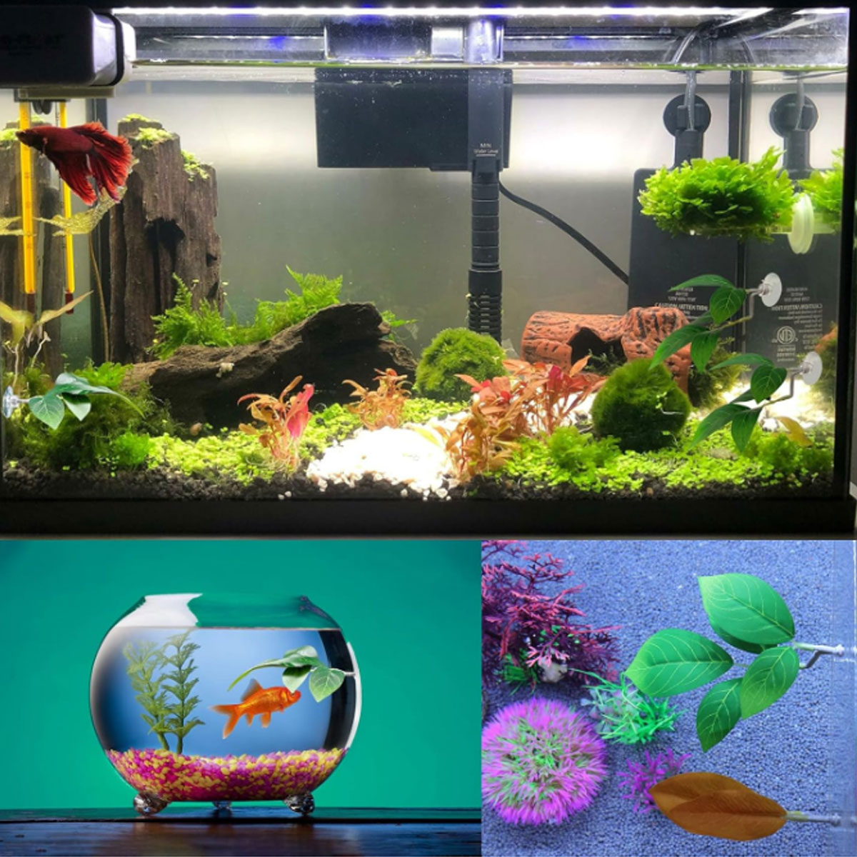 1 PC 베타 물고기 해먹 부드러운 수족관 장식 플라스 - Planted Aquarium Betta 리뷰 및 가격